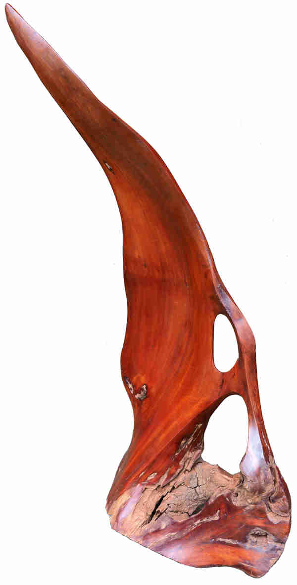 Wind Sail