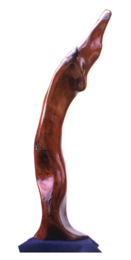 dolfem