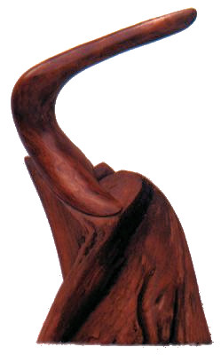 Finger