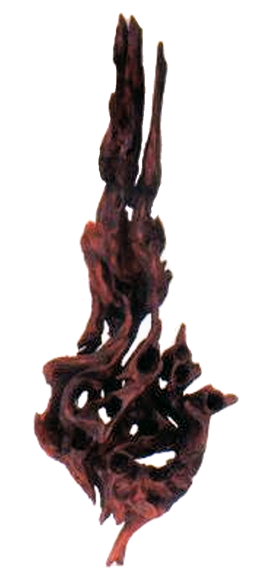 flamed_rose