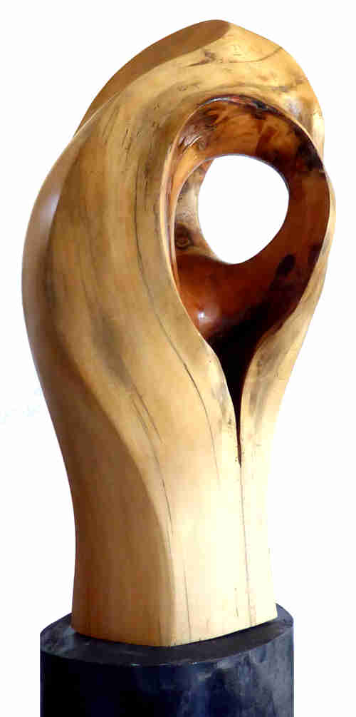 the eye