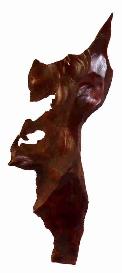 Scottie