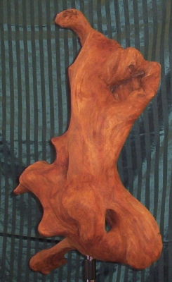 cossak